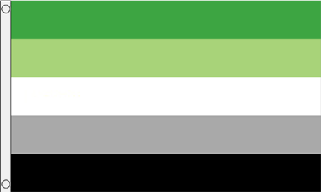 Aromantic Pride Flag (90 cm x 150 cm)