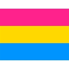 Pansexual Flag Sticker