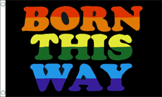 Born This Way Flag (90 cm x 150 cm)