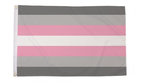 Demigirl Pride Flagg (90 x 150 cm)