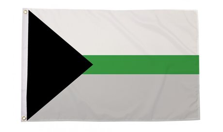 Demiromantic Pride Flagg (90 x 150 cm)