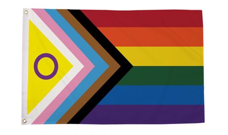 Intersex Progress Pride Flag (90 x 150 cm)