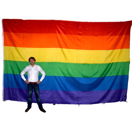 Regnbueflagg 300 cm x 450 cm D Ring