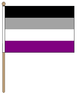 Asexual handhold flag medium