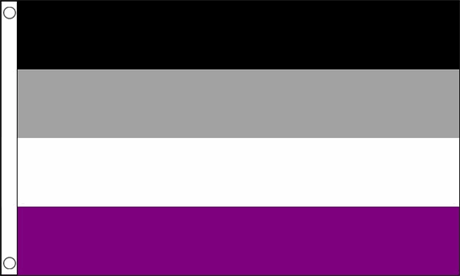 Asexual Pride Flagg (150 cm x 240 cm)