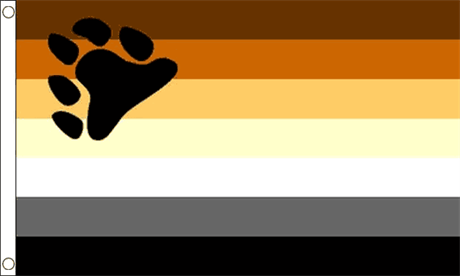 Bear Pride Flagg (60 x 90 cm)