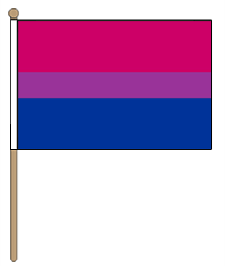 BI pride handhold flagg medium