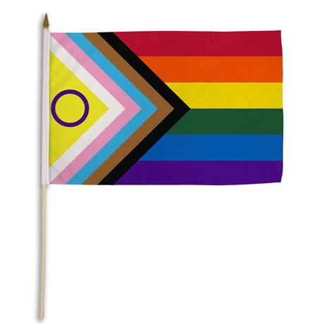 Inclusive Pride Håndflagg