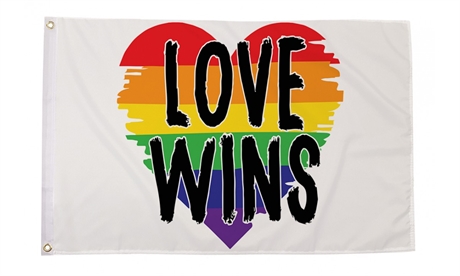 Love Wins Pride Flag (90 x 150 cm)