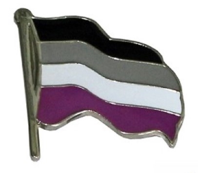 Asexual Wavy Flag Label Pin