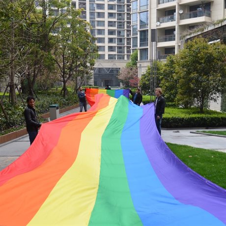 Regnbueparade Flagg 3 x 10 meter