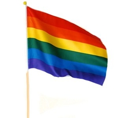 Rainbow Handhold Flag