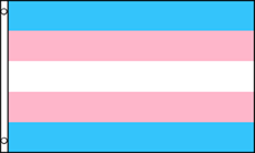 Transgender Pride Flag (60 cm x 90 cm)