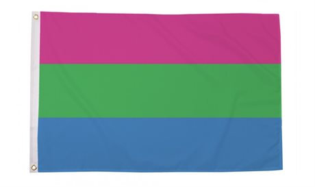Polysexual Pride (90 x 150 cm)