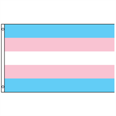 Transgender Pride Flag (90 cm x 150 cm)