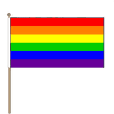 Rainbow handhold flag medium