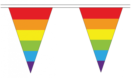 Rainbow Triangle Bunting 5 meter