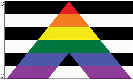 Straight Ally Pride Flag (90 cm x 150 cm)