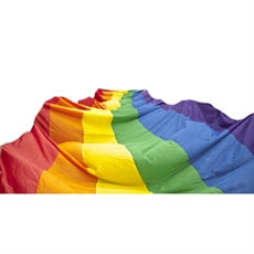 Pride Street Flag (671 cm x 1005 cm)