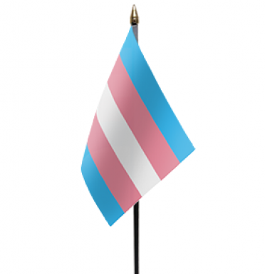 Transgender small handhold pride flag