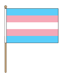 Transgender handhold flagg medium