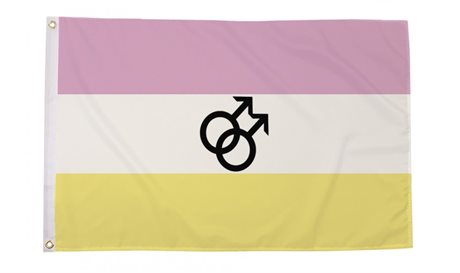 Twink Pride Flagg (90 x 150 cm)