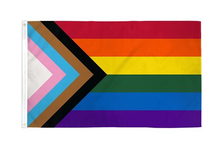 Progress Pride Flag (150 cm x 240 cm)