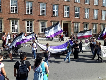 Folk feirer med asexual flag i Kobenhavns gater