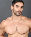 Andrew Christian: Pride Popsicle Necklace