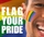 Rainbow Face Flag